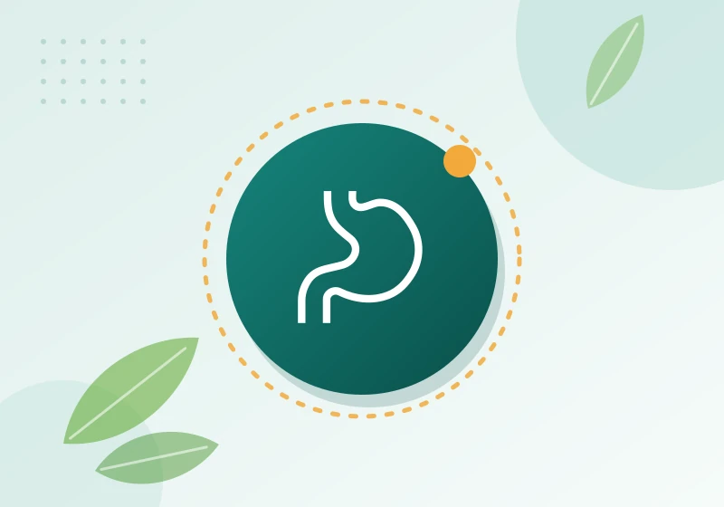 Digestive health illustration